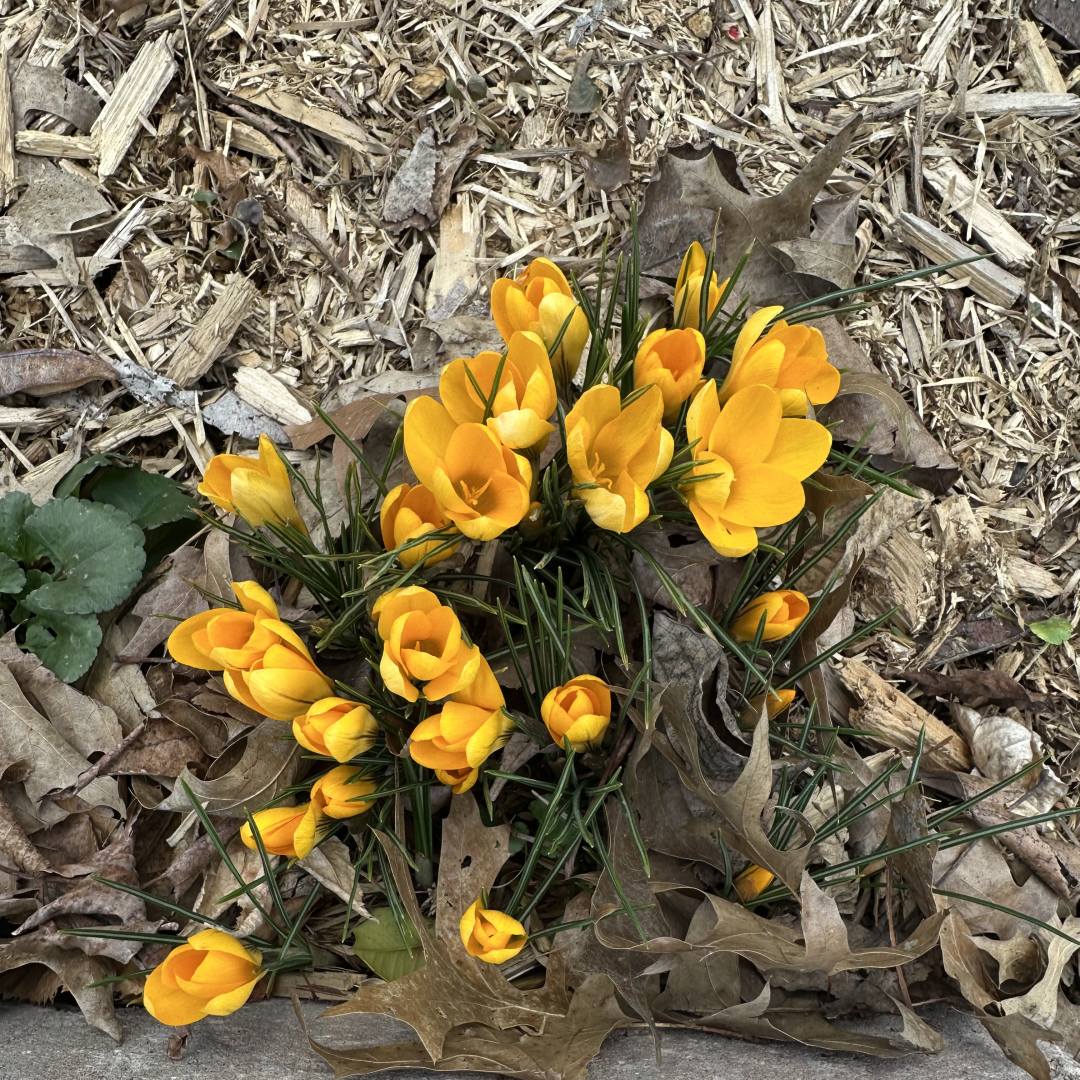 Photo shared by J for their Babylist baby registry.