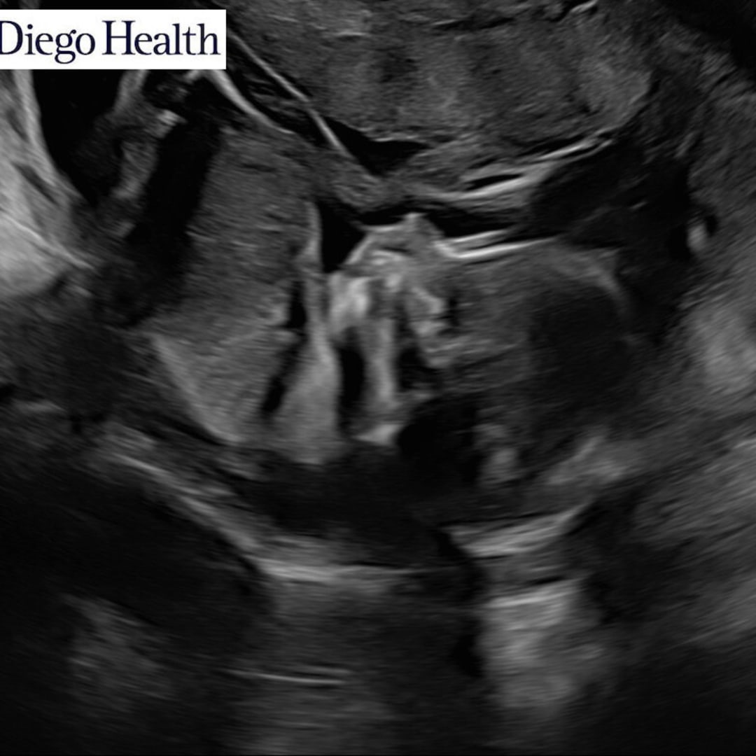 Photo shared by Lizbeth for their Babylist baby registry.