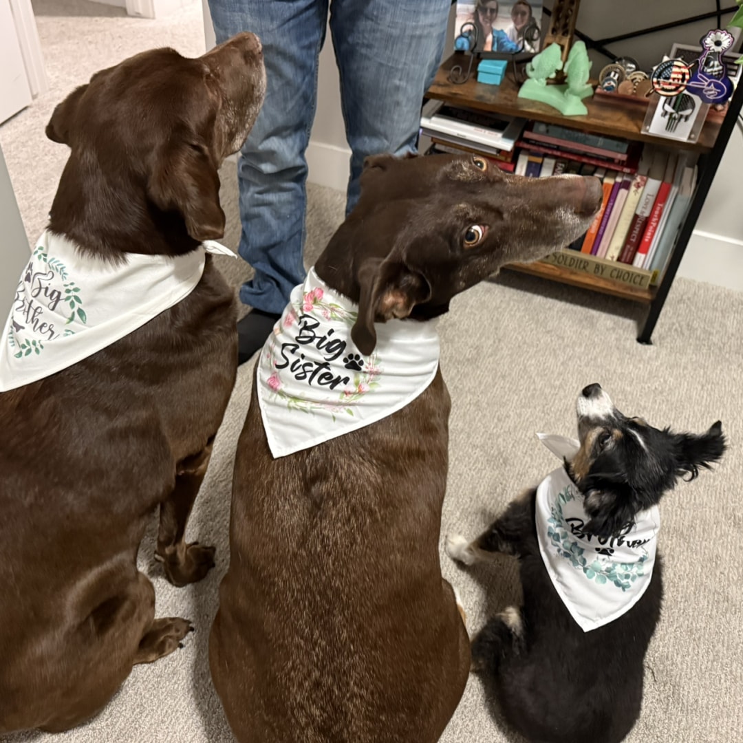 Photo shared by Kymbrie for their Babylist baby registry.