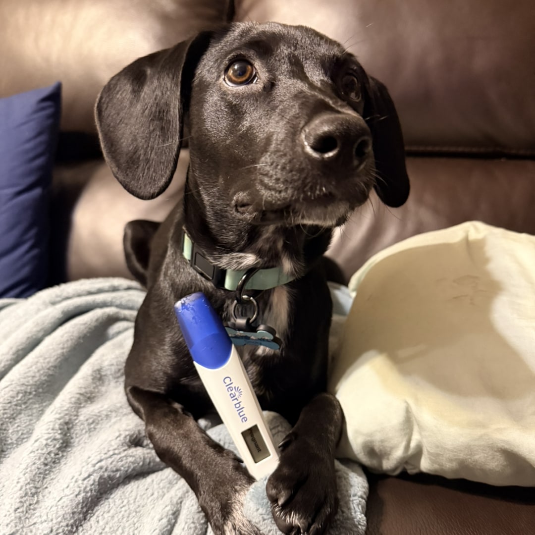 Photo shared by Ashley for their Babylist baby registry.