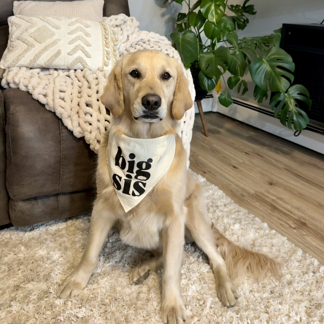 Photo shared by Courtney for their Babylist baby registry.