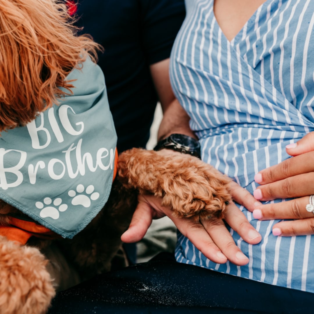 Photo shared by Dorca for their Babylist baby registry.
