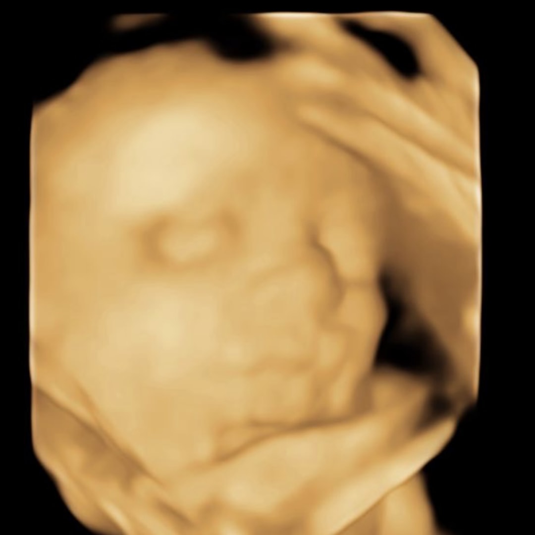 Photo shared by Jordan for their Babylist baby registry.