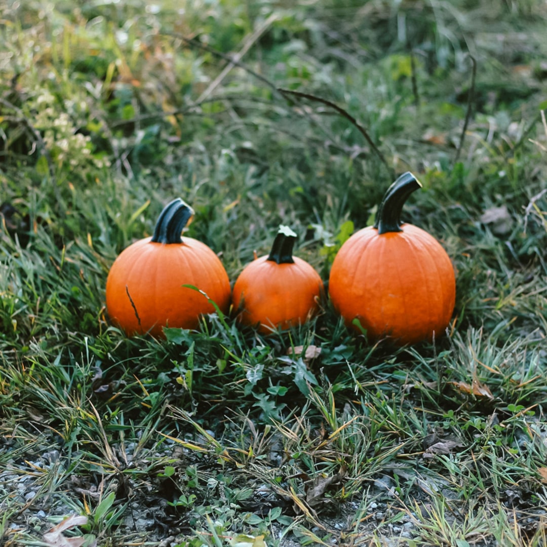 Photo shared by Ashley for their Babylist baby registry.