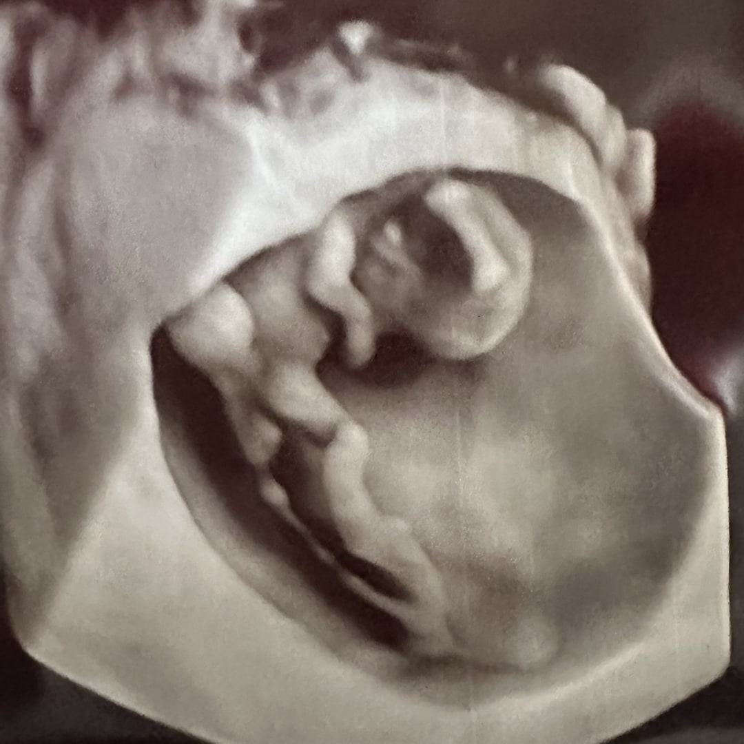 Photo shared by Taylor for their Babylist baby registry.