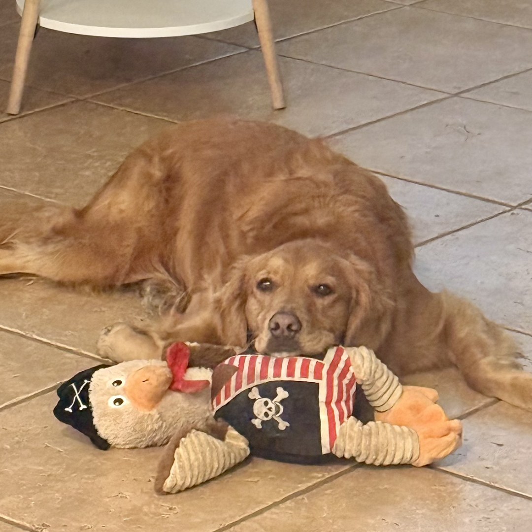 Photo shared by Jack and Kailey for their Babylist baby registry.