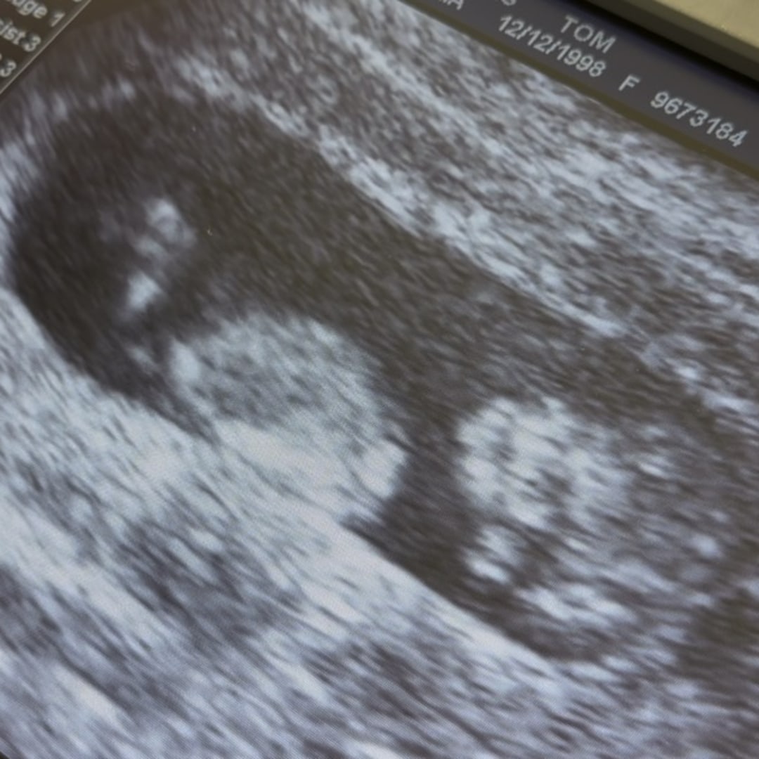 Photo shared by Maria for their Babylist baby registry.