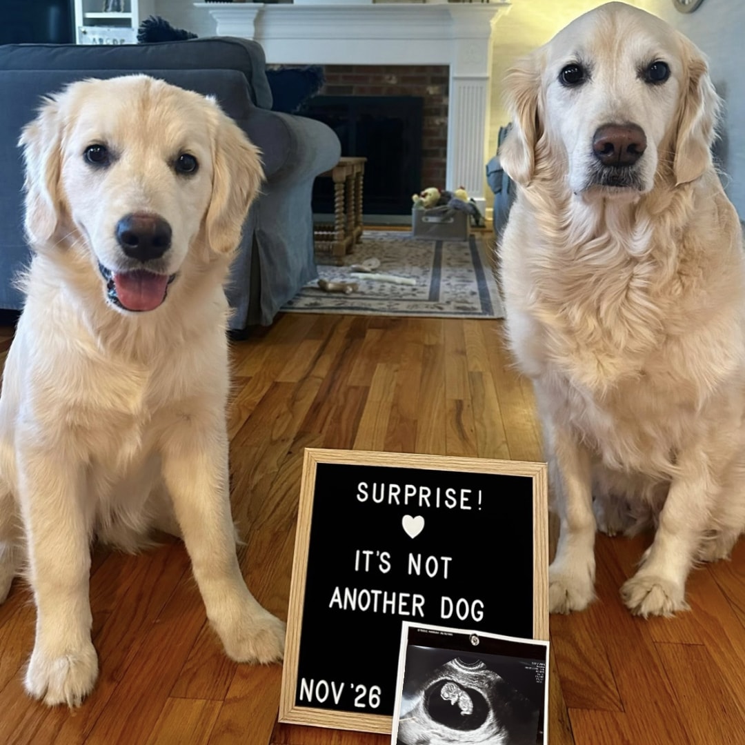 Photo shared by Hannah for their Babylist baby registry.