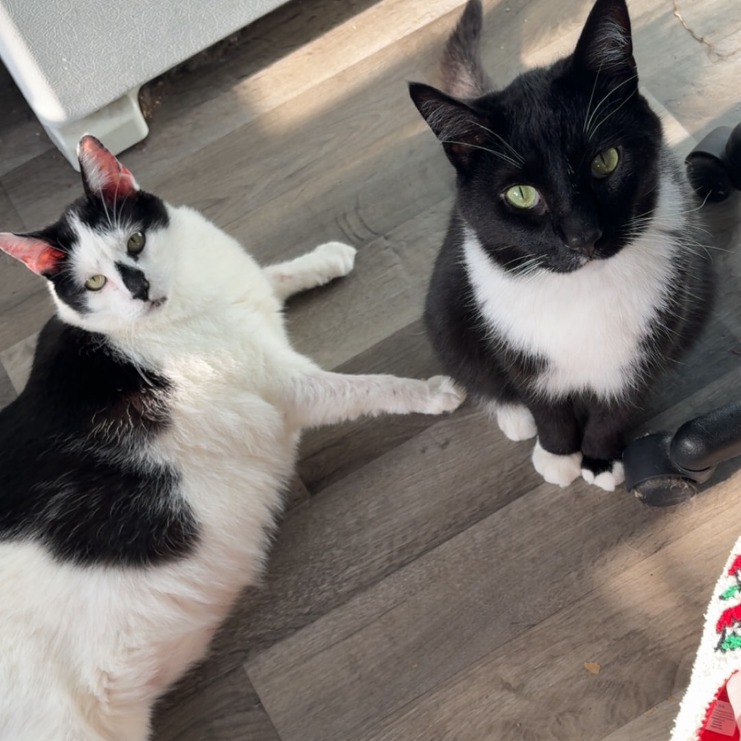 Photo shared by Abigail for their Babylist baby registry.