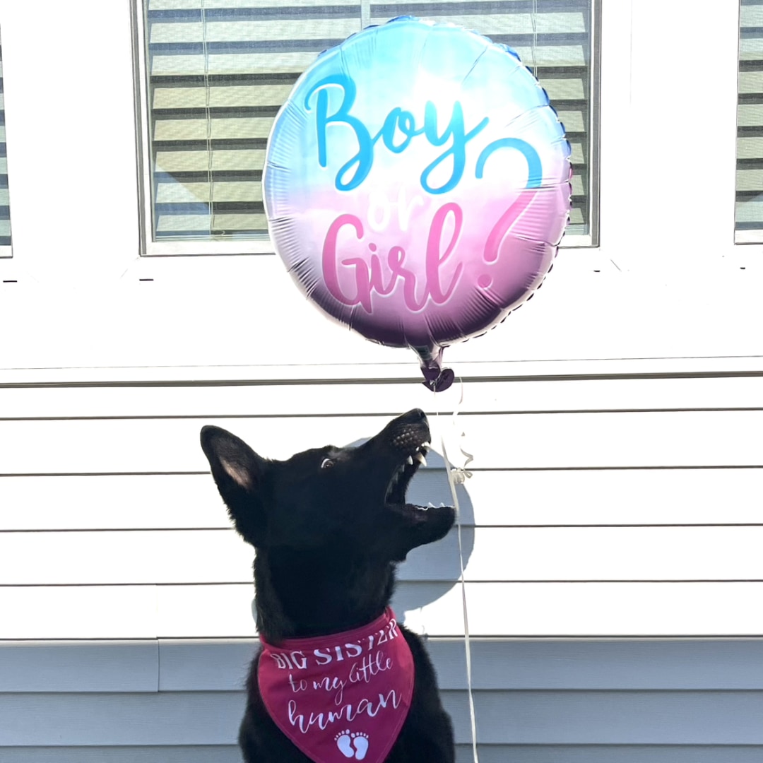 Photo shared by Staci for their Babylist baby registry.