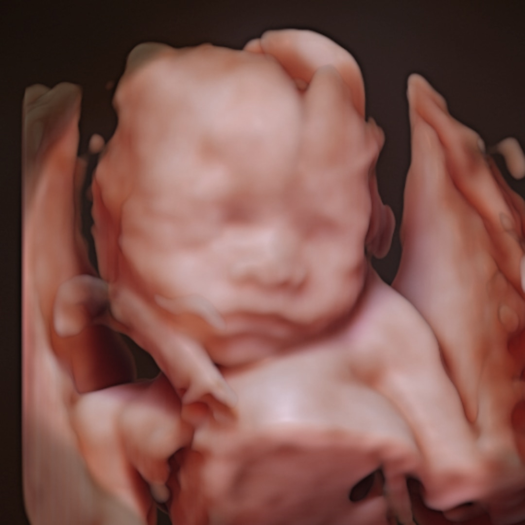 Photo shared by Danielle for their Babylist baby registry.