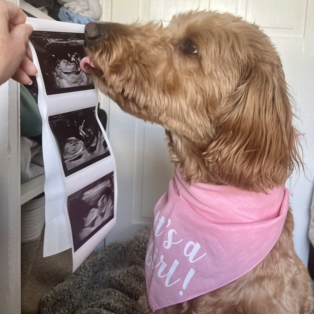 Photo shared by Dana for their Babylist baby registry.