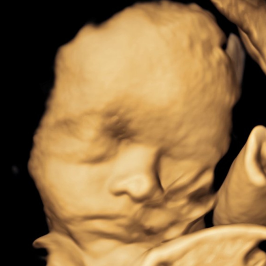 Photo shared by Shawna for their Babylist baby registry.