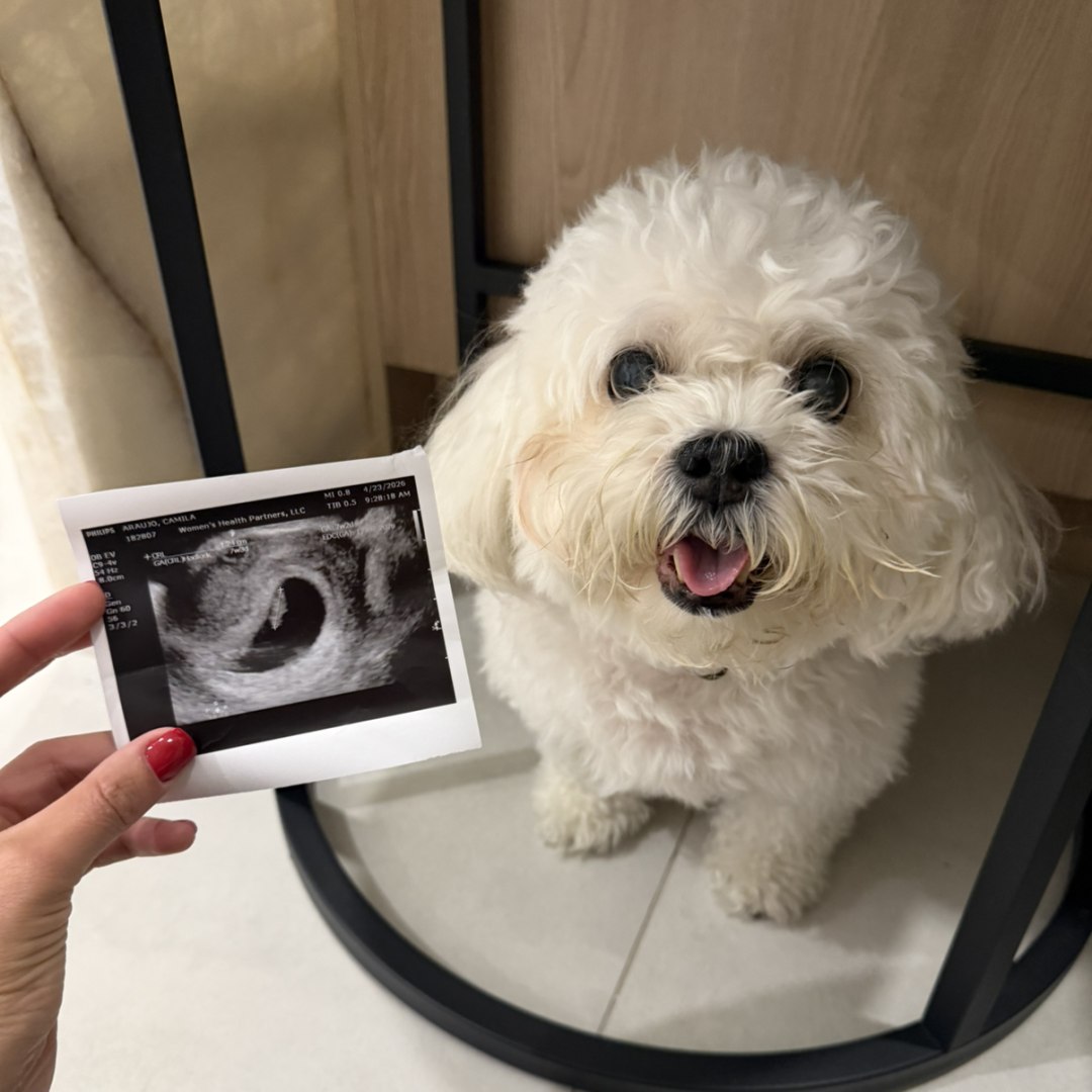 Photo shared by Camila for their Babylist baby registry.