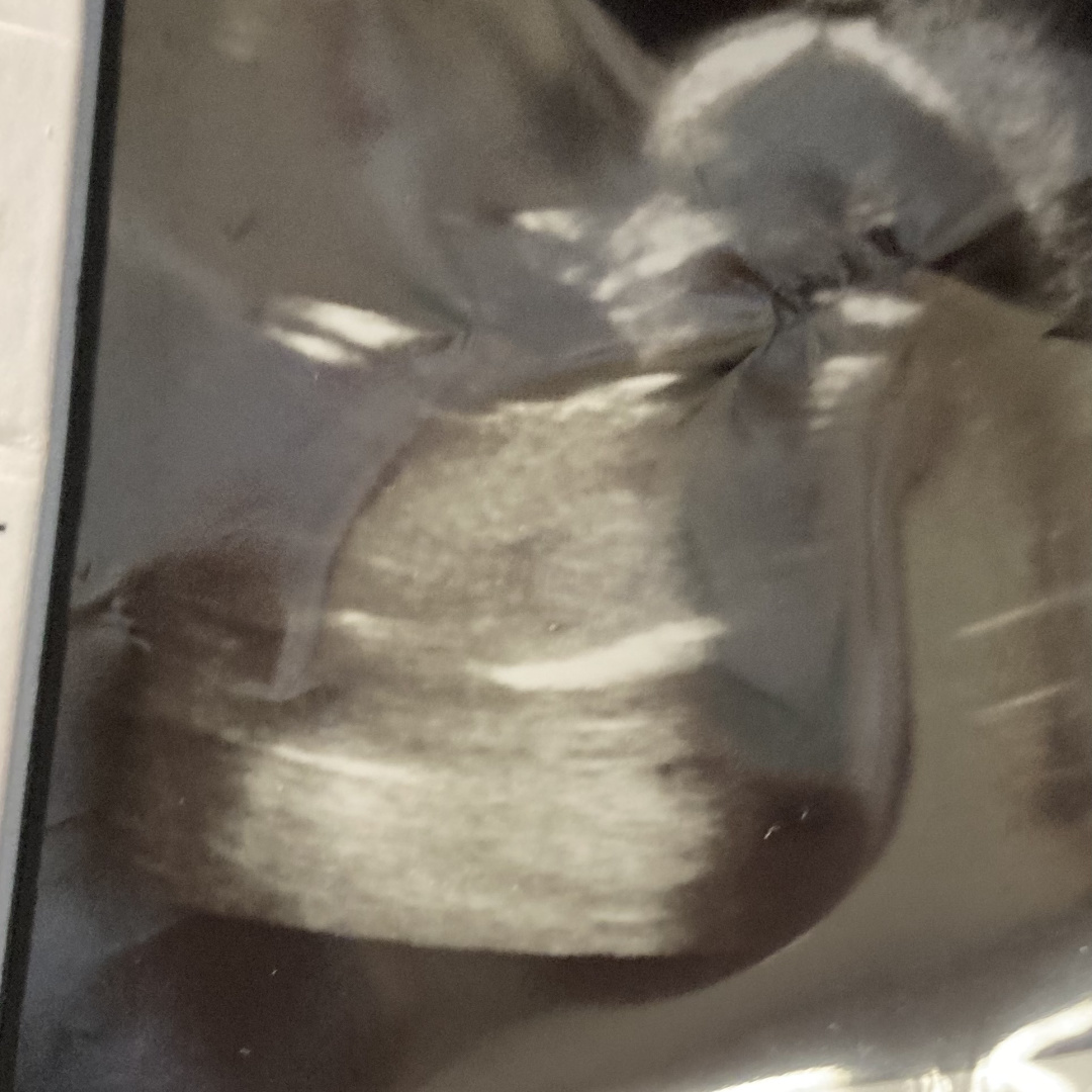 Photo shared by Eulogia for their Babylist baby registry.