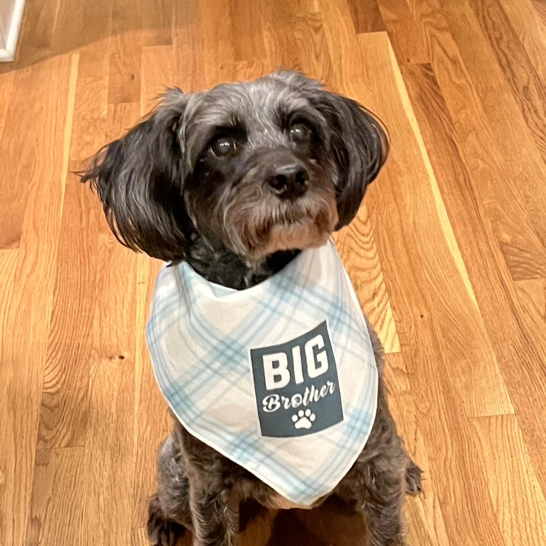 Photo shared by Emma for their Babylist baby registry.