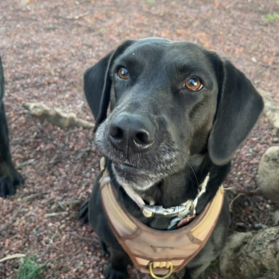 Photo shared by Jenna for their Babylist baby registry.