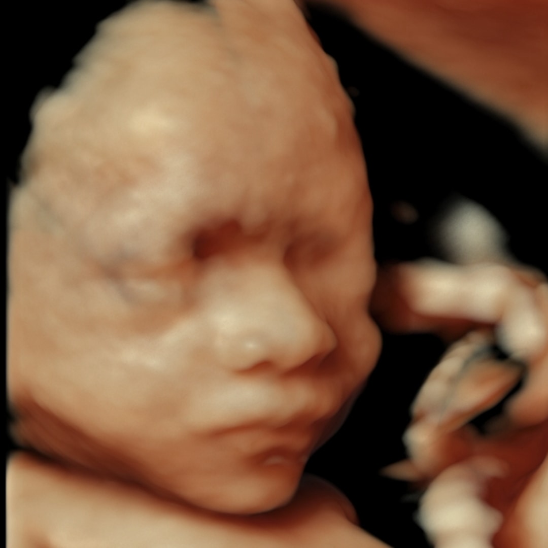 Photo shared by Gianna for their Babylist baby registry.