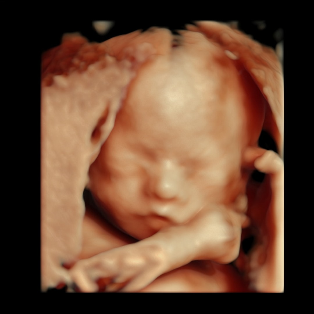 Photo shared by Britni for their Babylist baby registry.