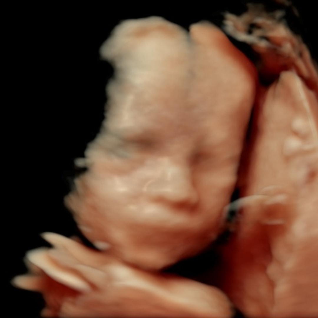 Photo shared by Ashlee for their Babylist baby registry.