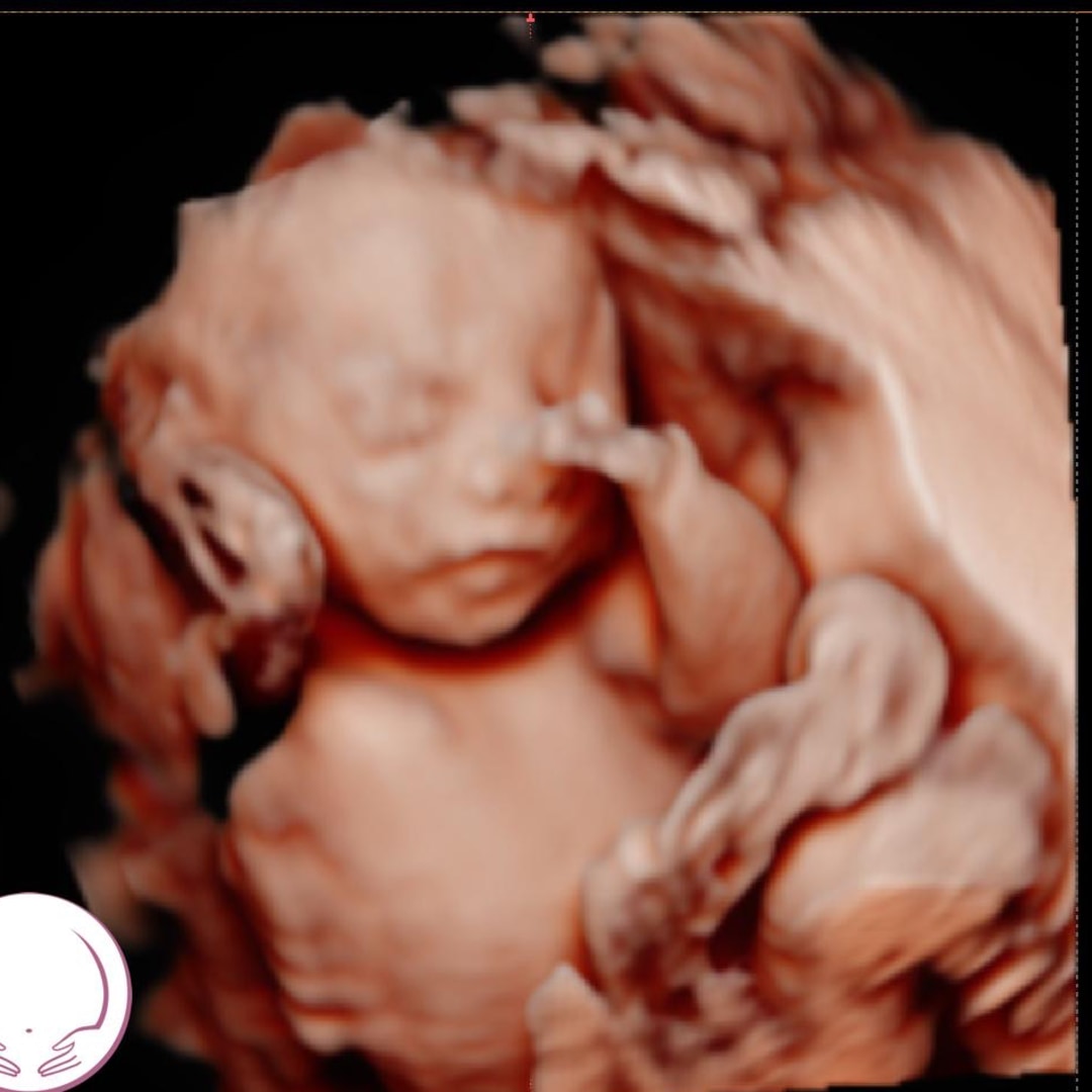 Photo shared by Yaqui for their Babylist baby registry.