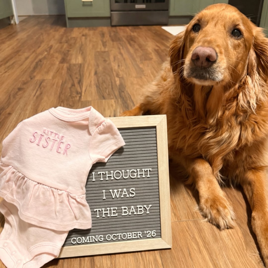 Photo shared by Maylee for their Babylist baby registry.