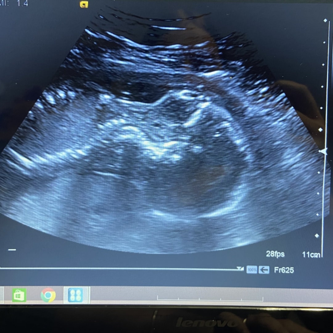 Photo shared by Abigail for their Babylist baby registry.