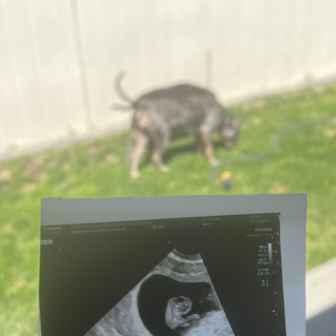 Photo shared by Josalyn for their Babylist baby registry.