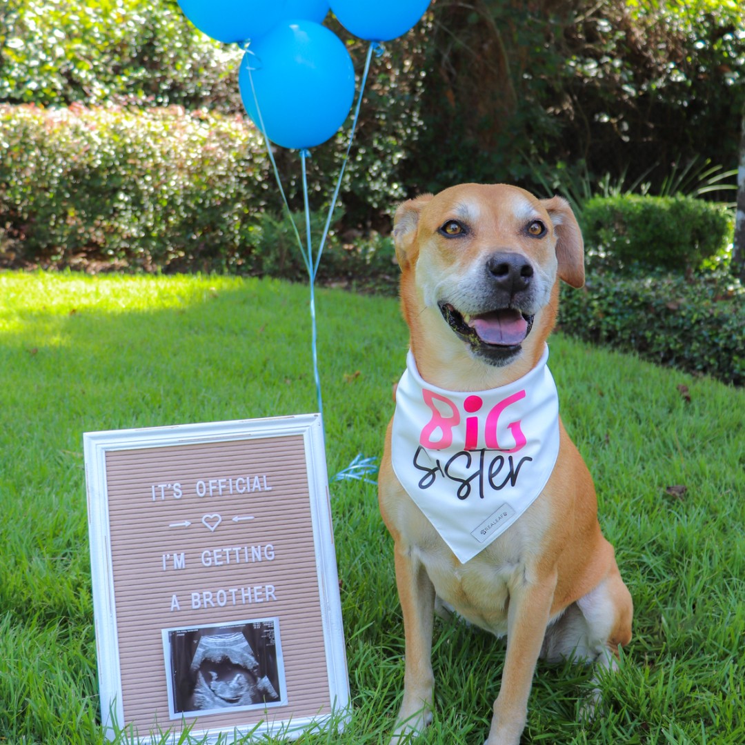 Photo shared by Kristy for their Babylist baby registry.