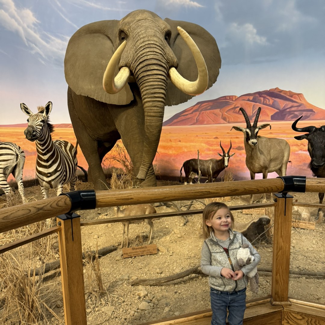 Photo shared by Jesse for their Babylist baby registry.