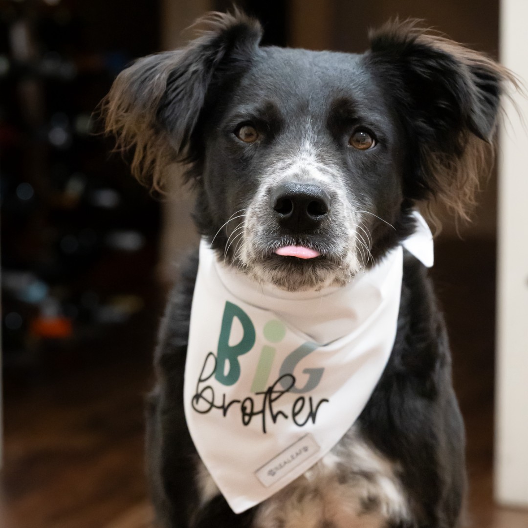 Photo shared by Ashley for their Babylist baby registry.