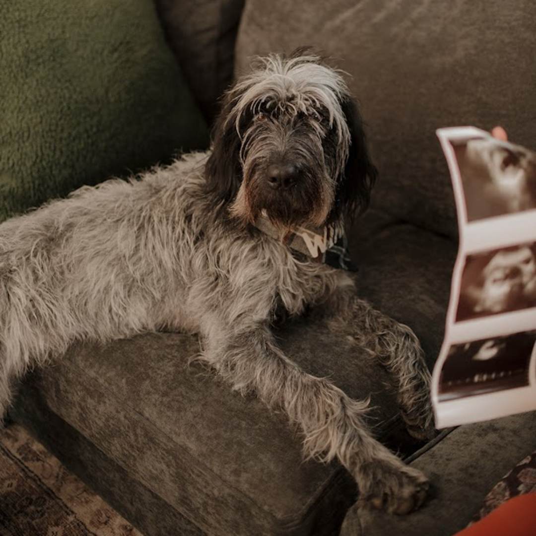 Photo shared by Megan for their Babylist baby registry.