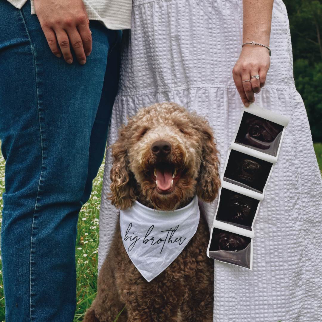 Photo shared by Olivia for their Babylist baby registry.