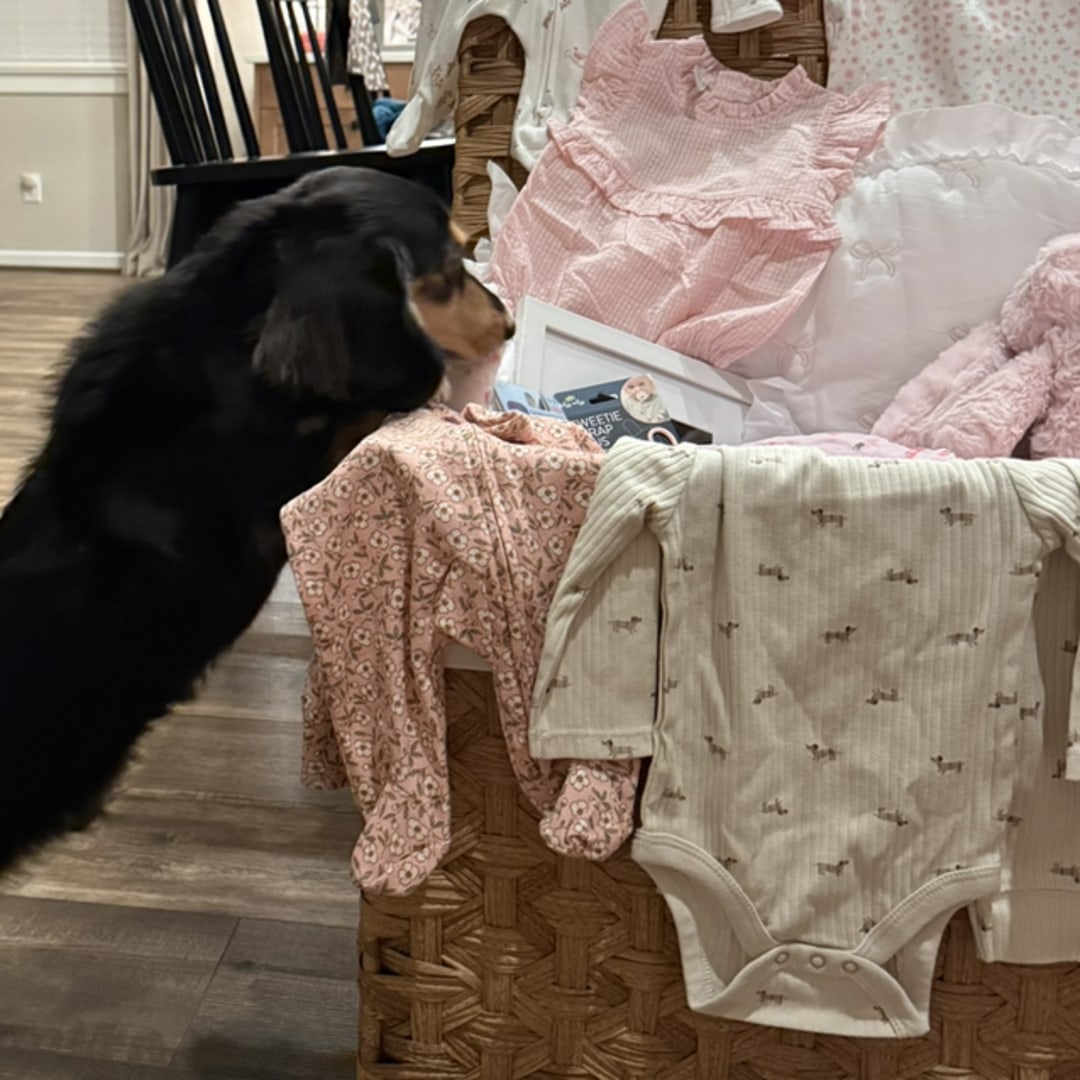 Photo shared by Alissa for their Babylist baby registry.