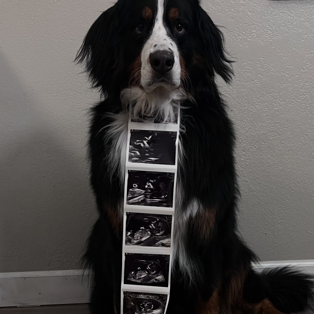 Photo shared by Kelsey for their Babylist baby registry.