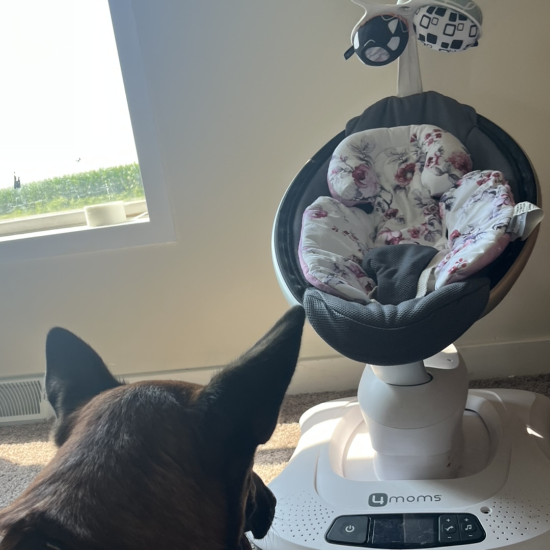 Photo shared by Alexandra for their Babylist baby registry.
