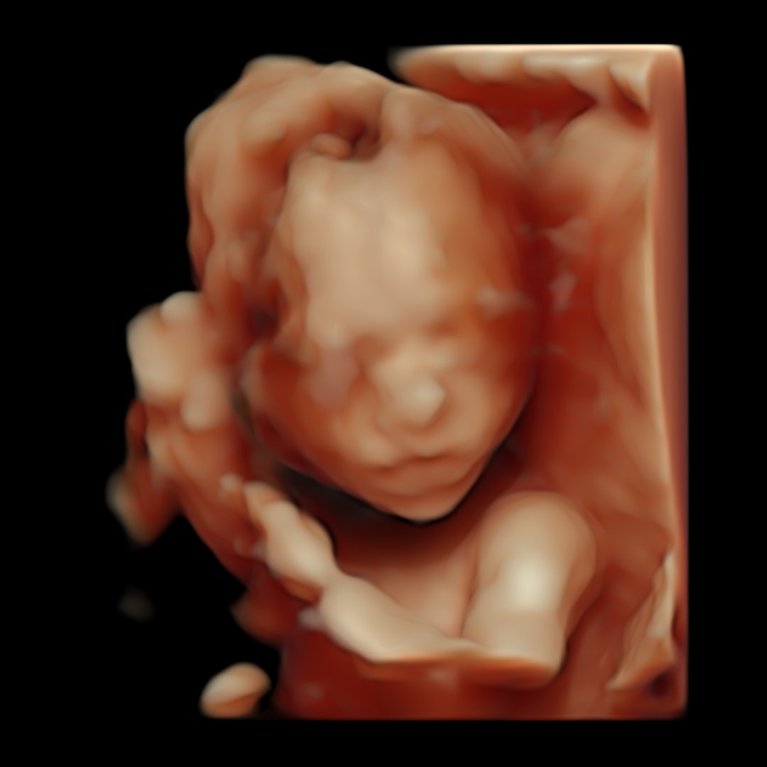 Photo shared by Allie for their Babylist baby registry.
