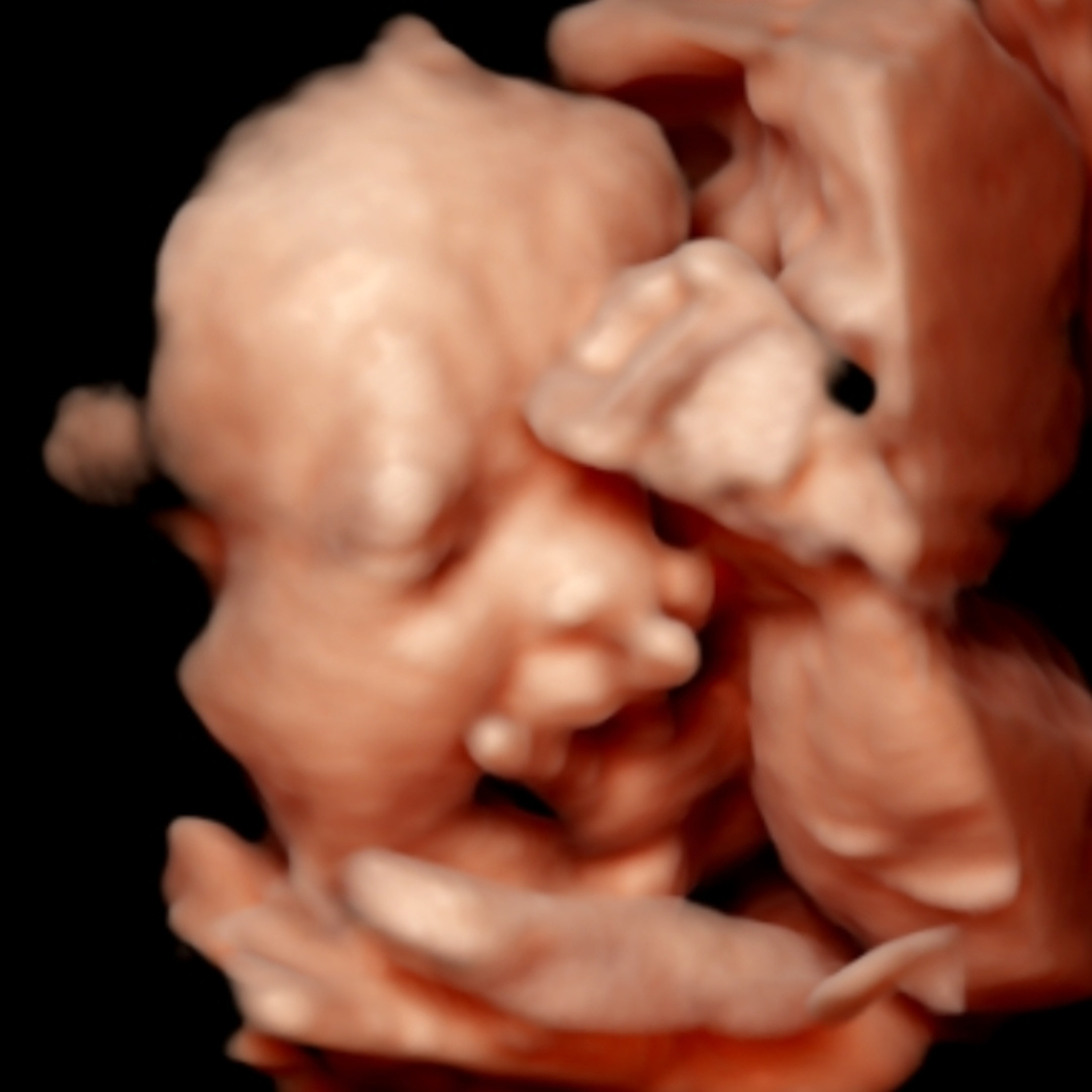 Photo shared by Manzanita for their Babylist baby registry.