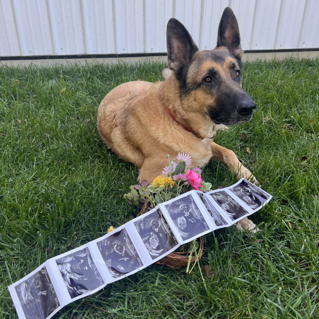 Photo shared by Shelby for their Babylist baby registry.