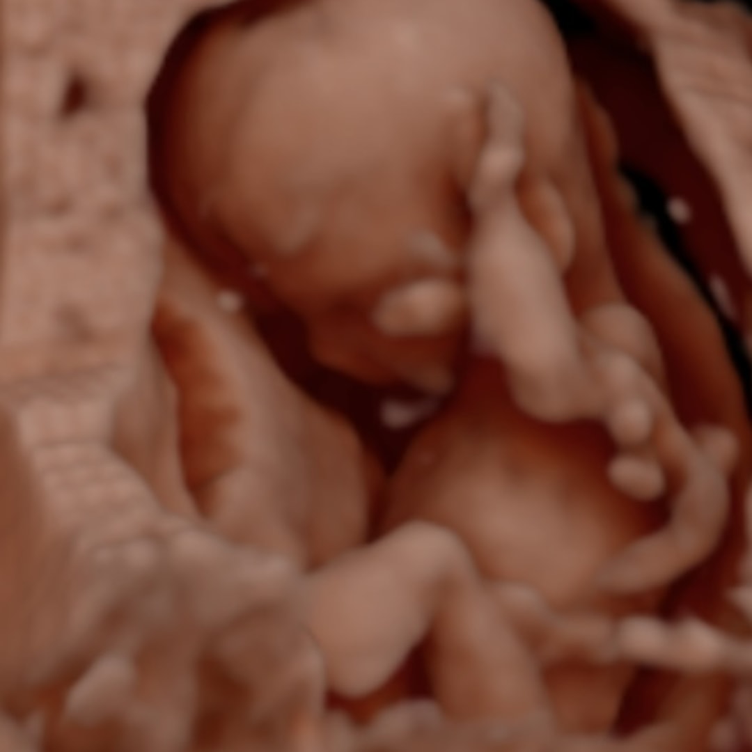 Photo shared by Jenna for their Babylist baby registry.