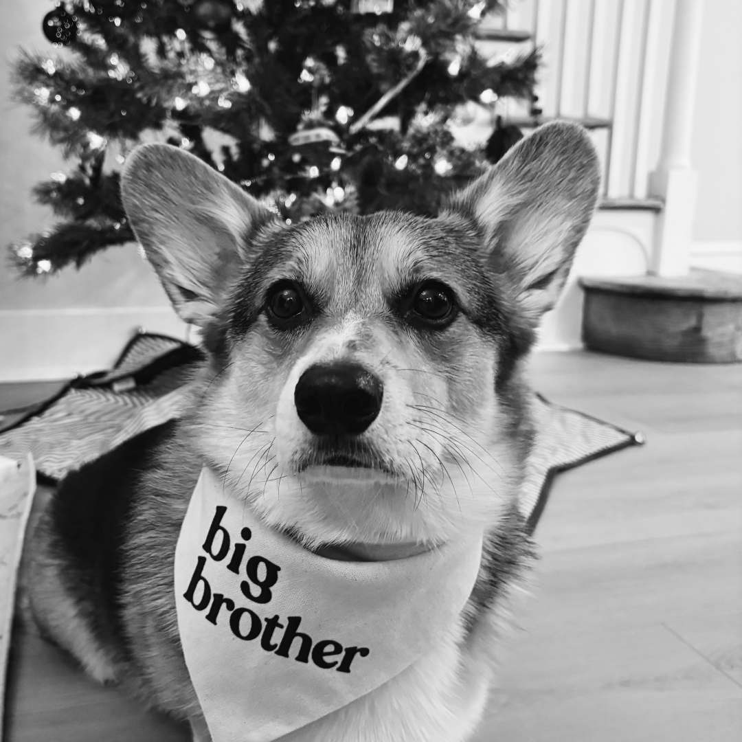 Photo shared by Kaitlin for their Babylist baby registry.