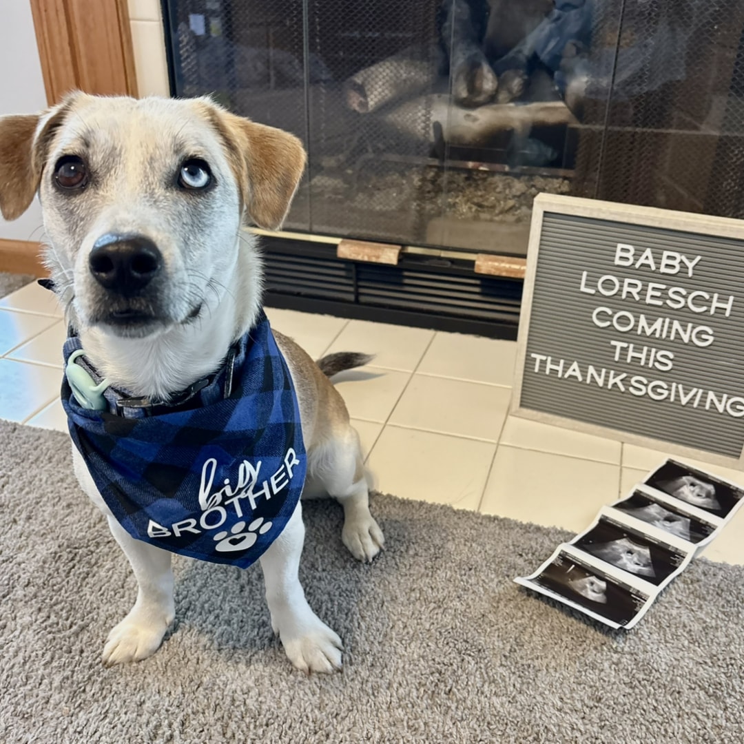 Photo shared by Jilliann for their Babylist baby registry.