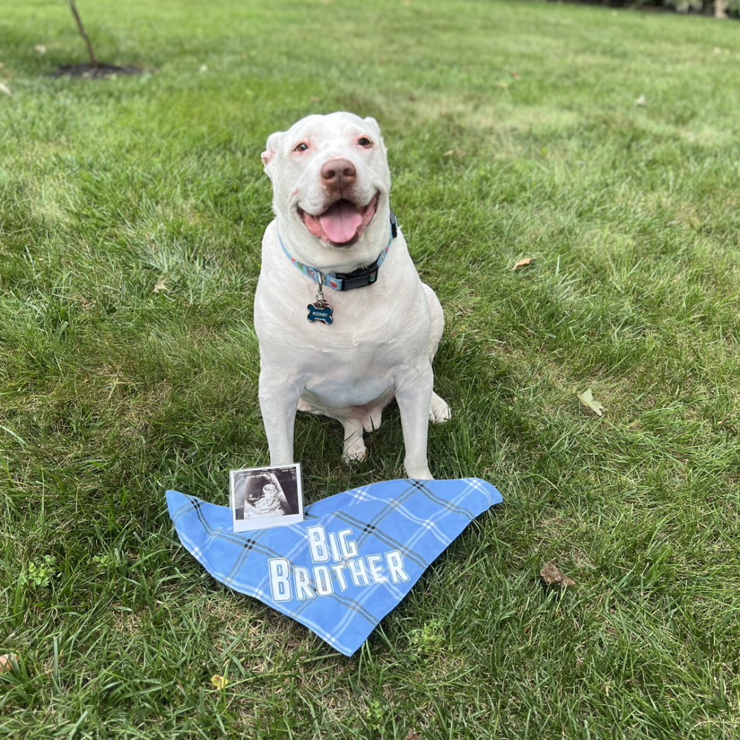 Photo shared by Julia for their Babylist baby registry.