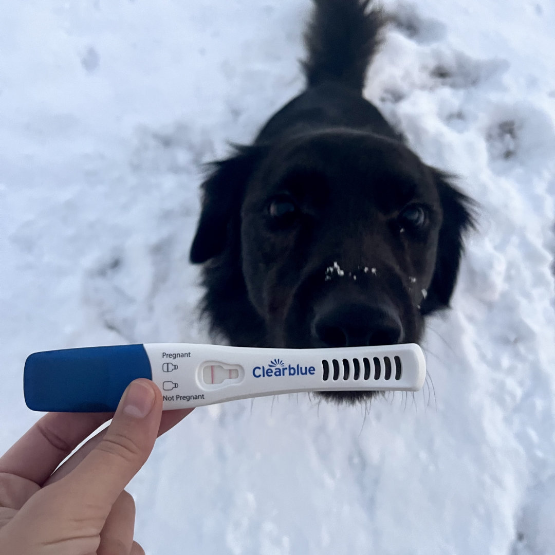 Photo shared by Annie for their Babylist baby registry.