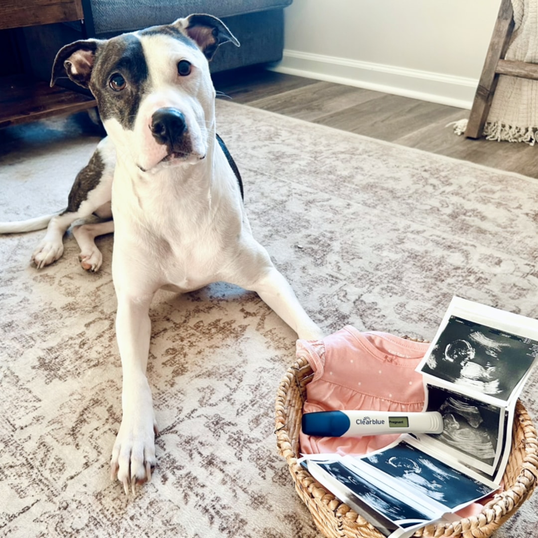 Photo shared by Kayla for their Babylist baby registry.