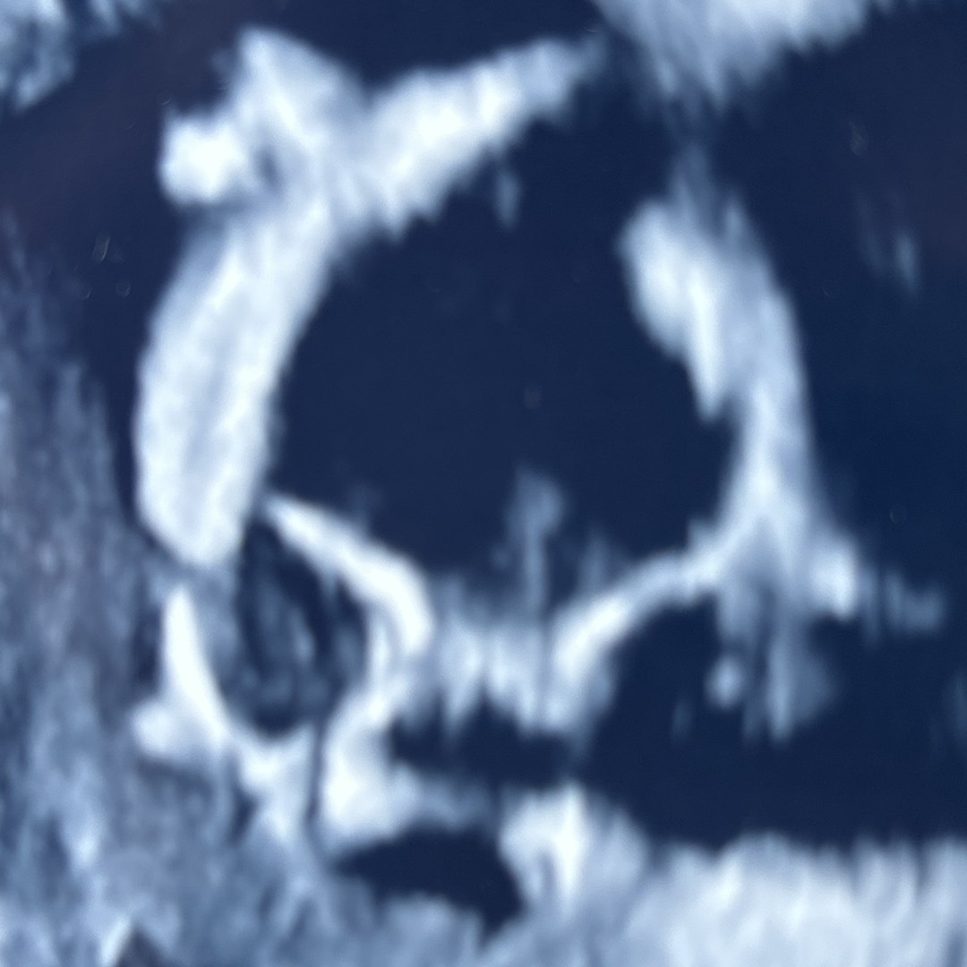 Photo shared by Klaudia for their Babylist baby registry.