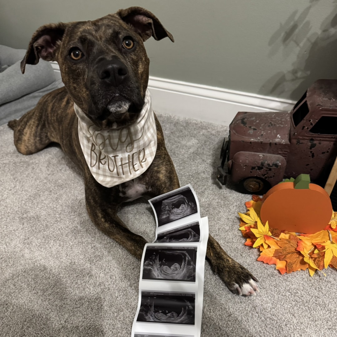 Photo shared by Hayley for their Babylist baby registry.