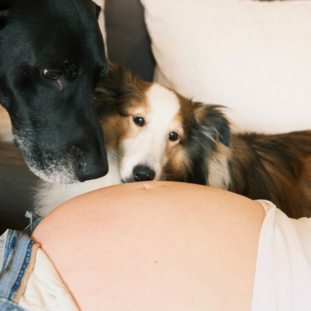 Photo shared by Alex for their Babylist baby registry.