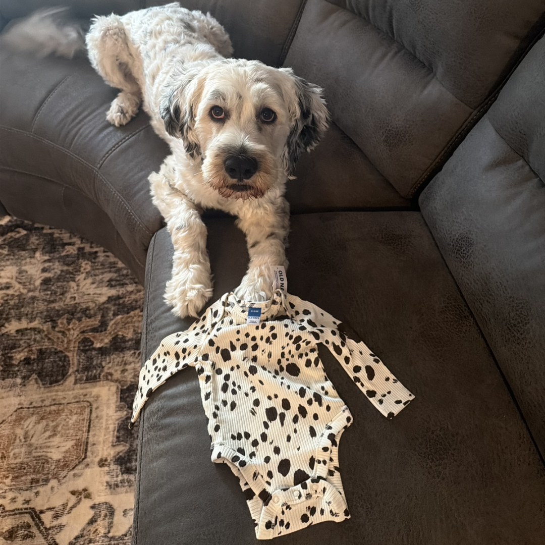 Photo shared by Alexandra for their Babylist baby registry.