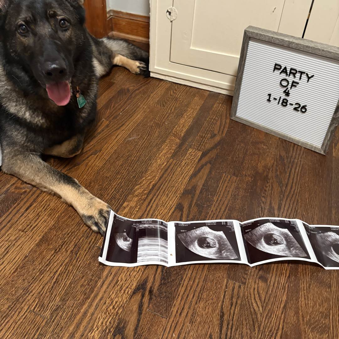 Photo shared by Jaclyn for their Babylist baby registry.